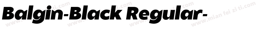 Balgin-Black Regular字体转换